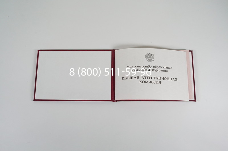 Диплом доктора наук 1995-2006 года в Орехово-Зуево Диплом доктора наук 1995-2006 года в Орехово-Зуево