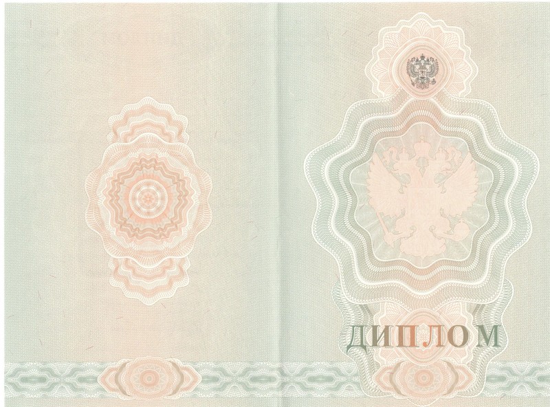 Купить Диплом о начальном образовании 2007-2009 годов в Орехово-Зуево Купить Диплом о начальном образовании 2007-2009 годов в Орехово-Зуево