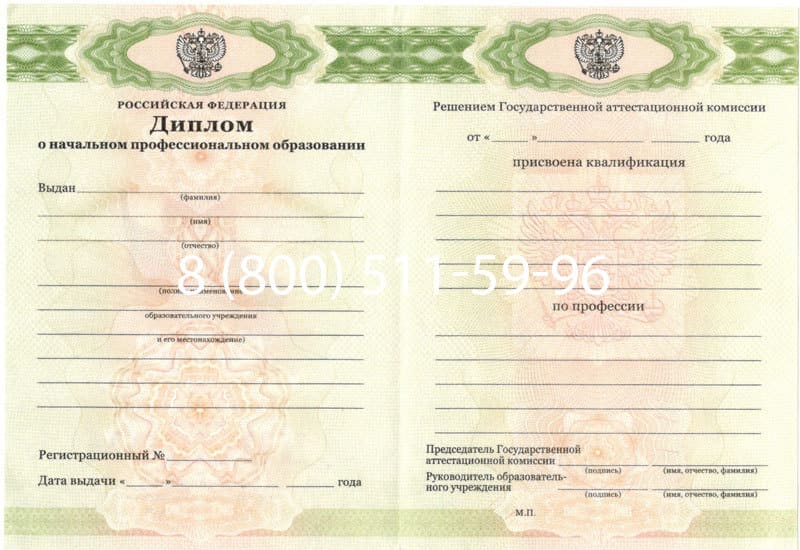 Купить Диплом о начальном образовании 2010-2024 годов в Орехово-Зуево Купить Диплом о начальном образовании 2010-2024 годов в Орехово-Зуево